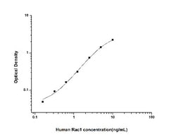 Novus Biologicals&trade;&nbsp;Human Rac1 ELISA Kit (Colorimetric)